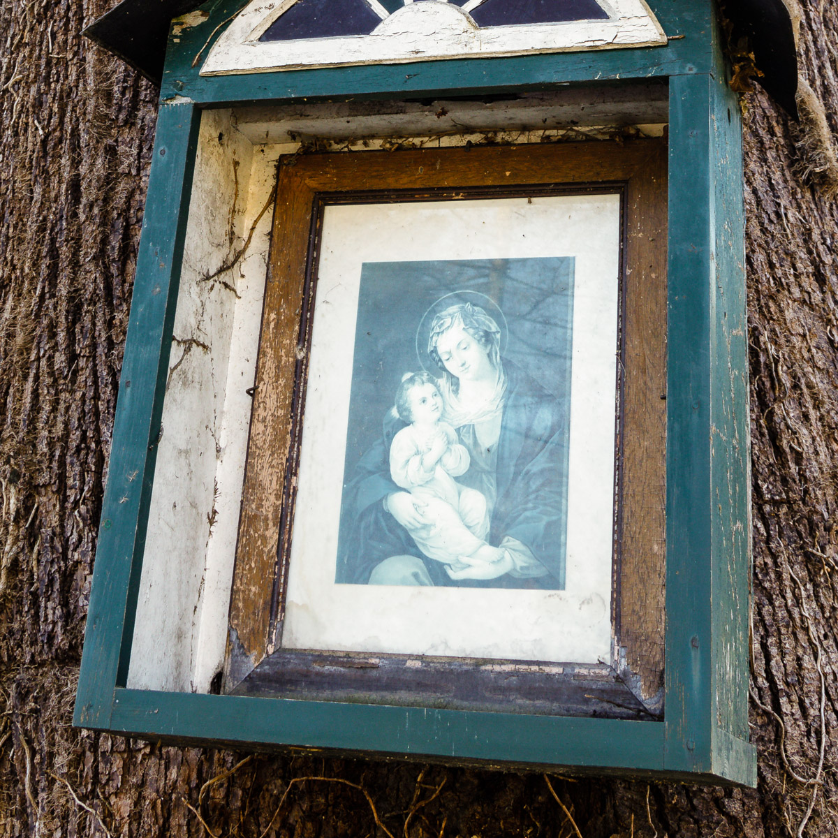 Blaue Madonna ab 1995