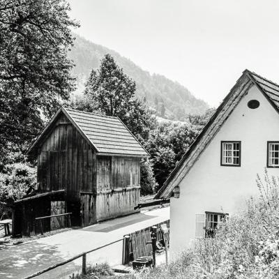 080221repro 0314