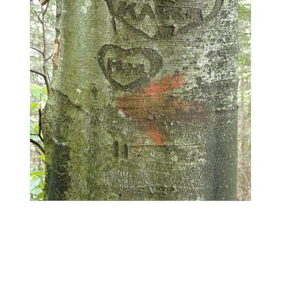Kf 02