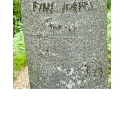 Kf 04