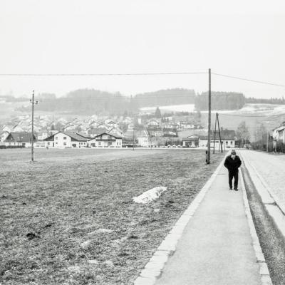 080221repro 0478