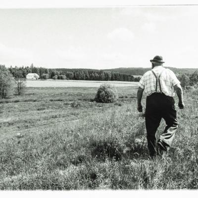 Sp Ter Ckkehr01