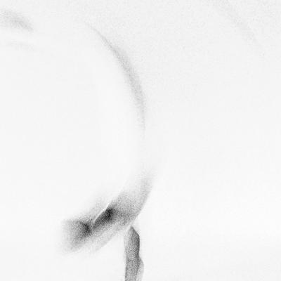 080221repro 0096