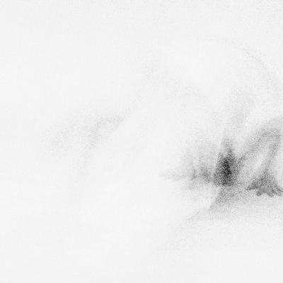 080221repro 0100