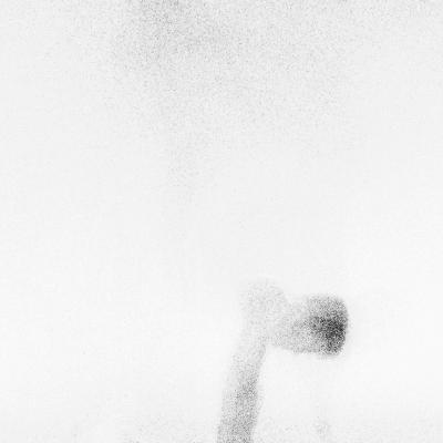 080221repro 0102