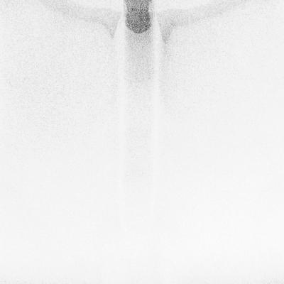 080221repro 0103