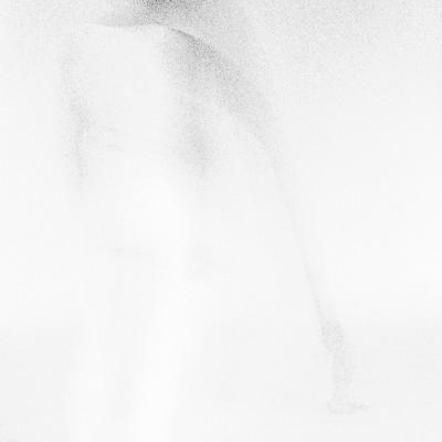 080221repro 0105