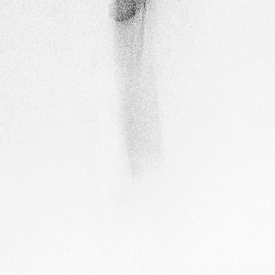 080221repro 0106